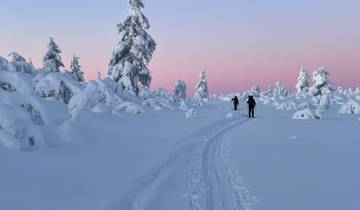 Finnlands Winterzauber: Abenteuer unter dem Polarlicht