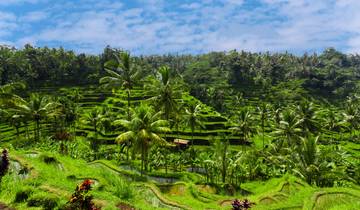 Bali & Java: Vulkan Hike zum Glamping Adventure