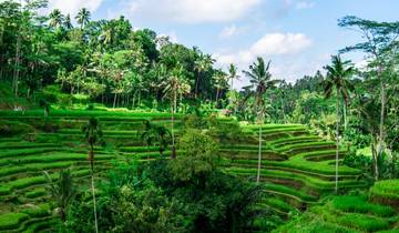 Dubaï et Bali : de la ligne d'horizon au Sunrise Hike