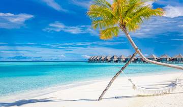 Maldives Island Hopping: Palm Trees & Ocean Breeze Tour