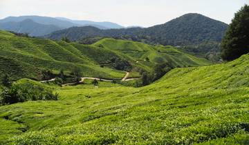 Malaysia Bucketlist: Caves, Highlands & Island Adventure
