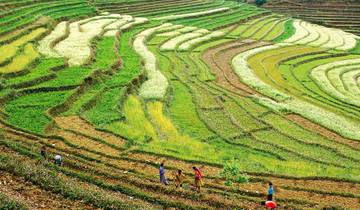 Kolkata to Darjeeling - 11 days