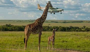 Safari aérien de 2 jours dans le Maasai Mara