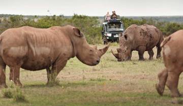 CLASSIC JOURNESY KIFARU SAFARI Tour