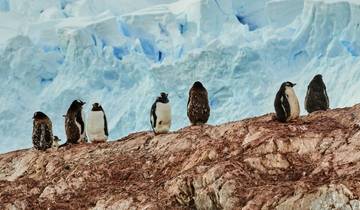 Antarctica & FalklandagenExpeditie | In noordelijke richting