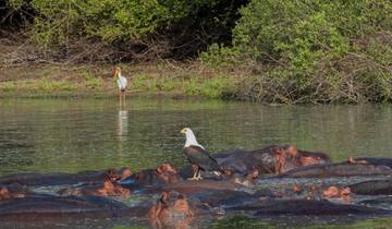 Circuito 3 días - safari por el Parque Nacional Nyerere