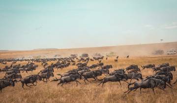 Serengeti-Migrations-Safari 3 Tage