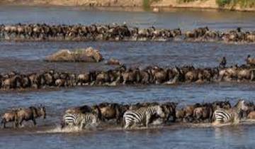 Nördliche Serengeti mit Mara River Crossing Migrations Safari - 5 Tage Rundreise