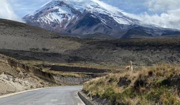 Unveiling The Best Of Ecuador Small Group Tour Tour