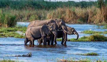 Safari por la naturaleza en Botsuana (Savuti)