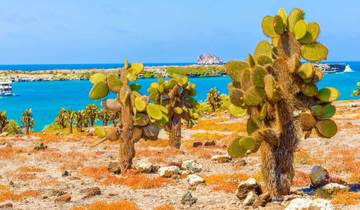 Galapagos - Central, North, South and East Islands aboard the Archipel I Tour