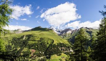 Austria Hiking on the Mountains & in the Valleys of Alpine Pastures