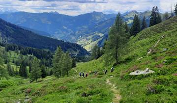 Austria - Senderismo de placer en la montaña y en el valle de los pastos alpinos