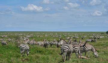 7 Days, Big Five Serengeti National Park Luxury Adventure Tour Tour