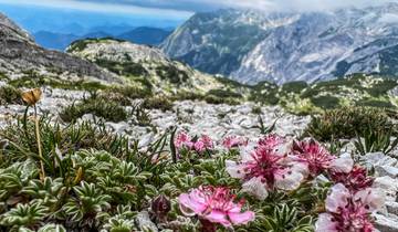 7 Days in Julian Alps, incl. Bled and Triglav National Park