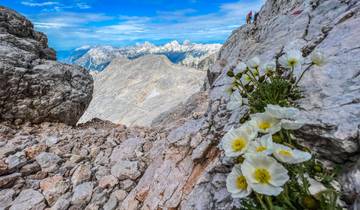 7 Days in Julian Alps, incl. Bled and Triglav National Park
