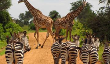 Tansania - Safari im wilden Süden