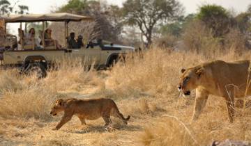 Affordable South Africa, Victoria Falls & Botswana - 11 Days Unforgettable Expeditions Tour