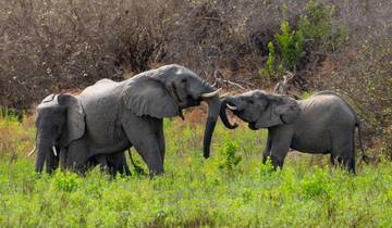 Circuito 3 días - safari de campamento en el Serengeti y el cráter del Ngorongoro