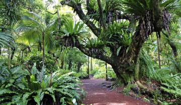 Bonjour on the Creole Volcanic Island