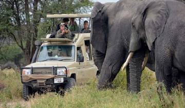 Entdecken Sie die ultimative 8 Tage afrikanische Safari in Kenia und Tansania zu erschwinglichen Preisen Rundreise