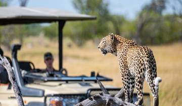 Afrikanische Big 5 Safari 6 Tage Rundreise