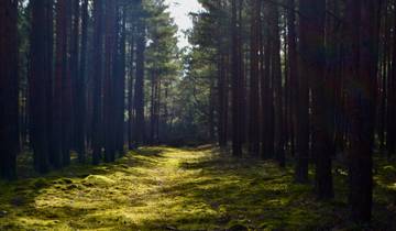 Ostsee-Abenteuer - 14 Tage