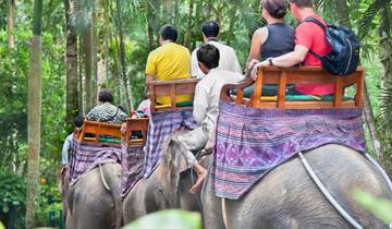10 Days in Bali Dreams - Private Tour