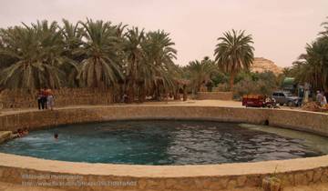 Escapade à l'oasis de Siwa : 4 jours entre mystères antiques, déserts dorés et lacs salés enchanteurs au départ du Caire