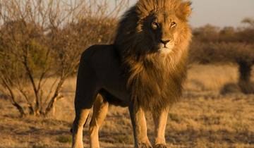 14 Days in Namibia, incl. Windhoek and Etosha National Park