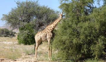 14 Days in Namibia, incl. Windhoek and Etosha National Park