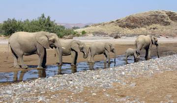 14 Days in Namibia, incl. Windhoek and Etosha National Park