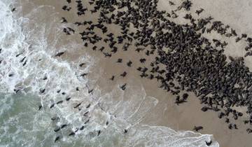 14 Days in Namibia, incl. Windhoek and Etosha National Park