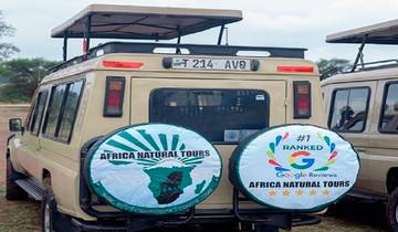 Die besten 6 Tage private Mittelklasse-Nord-Serengeti-Migrations-Safari in Tansania ab Sansibar Tour