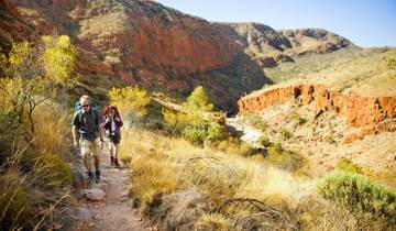 Trekking sur le sentier Larapinta - 5 jours d'aventure en camping