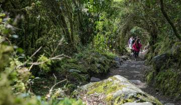 Peru: Inca Trail & the Amazon Tour