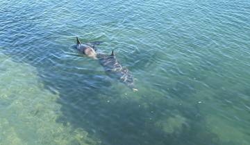 Perth to Exmouth & Return