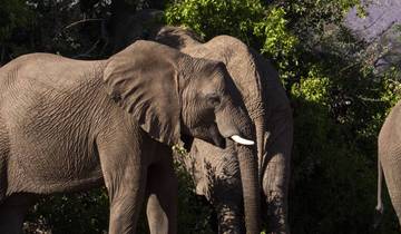 4 jours de safari dans les merveilles de la Tanzanie