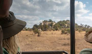 Geluxe: Southern Africa: National Parks of Zimbabwe & Kruger Wildlife Tracking