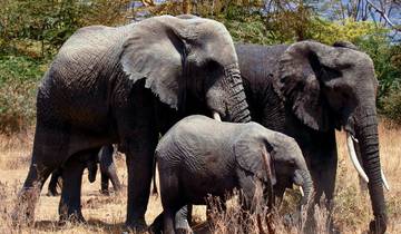 Best 7 days Tanzania Family Tour Itinerary with Reasonable prices Tour