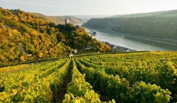 Moselle Cycle Route from Trier to Koblenz - 7 days Tour