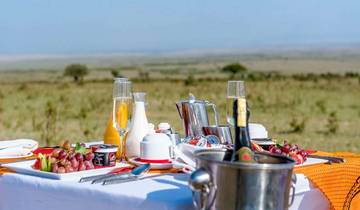 Our Best 3-Day Kenya Safari, Africa: Wildlife Experience Tour Tour