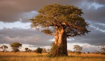 2-daagse epische safari het beste van Tarangire en Manyara-rondreis