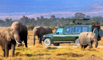 3 Days  Private Maasai Mara Sarova Luxury Safari With a 4x4 Land Cruiser Jeep