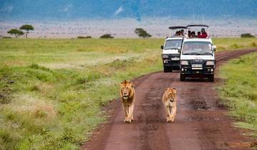 Magisches Kenia: Wildlife Safari 4 Tage Rundreise