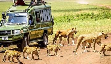 4 days Magical Kenya wildlife safari with Reasonable Price. Tour