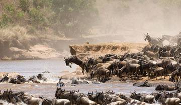 5 Days Serengeti Flying Safari