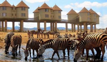 3 Days Saltlick And Tsavo West Luxury safari From Nairobi