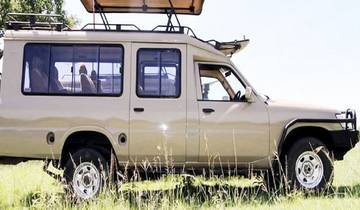 Ultimate African Adventure: Experience the Spectacular Wildlife in a 7-Day Kenya Safari. Tour