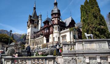 2-Day Private Tour in Romania including Peles Castle, Bran Castle, Cantacuzino Castle, Brasov and Bears Sanctuary Tour